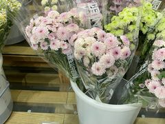 -鹿岛会员店 (龙湖三千集天街店)