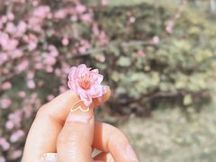 -陕西省西安植物园
