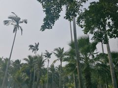 -情侣路