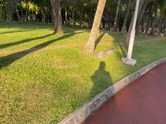 -万绿园