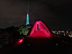 -金鸡山公园