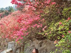 -木兰云雾山