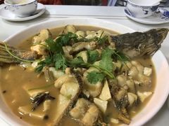-煲来饱去冷水鱼