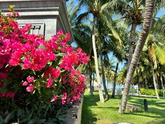 -海南清水湾莱佛士酒店