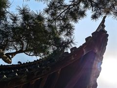 -龙华寺