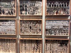 -墨尔本博物馆(Melbourne Museum)