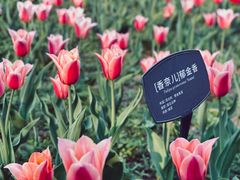-国家植物园
