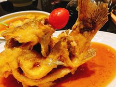 糖醋鲤鱼-闫府私房菜·百年鲁菜(恒隆店)