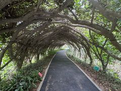 -广西壮族自治区药用植物园