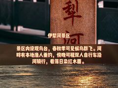 -伊犁河景区