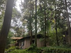 -青城山