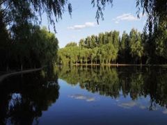 -阿尔丁植物园