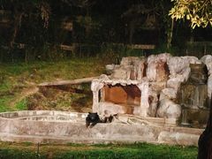 -清迈夜间动物园