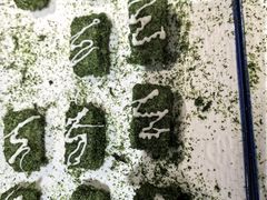 -天荷菜根·闽南素食自助(刺桐北路店)