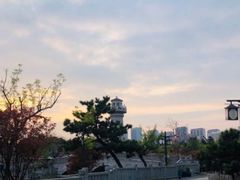 -渡海小渔村.老辈日照菜