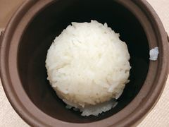 -食神鱼头佛跳墙(百子湾旗舰店)