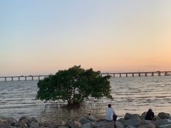 -宝安西湾红树林湿地公园