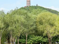-北坞公园