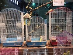 -龟与熊猫宠物公园(南坪店)
