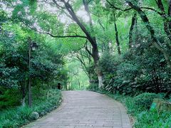 -杭州半山国家森林公园