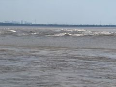 -紫薇冷饮(海宁盐官宣德路店)