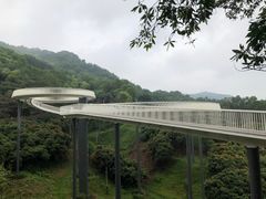 -光明小镇欢乐田园