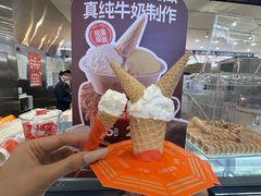 -极拉图·现制冰淇淋(大卫城店)