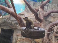 -石家庄市动物园