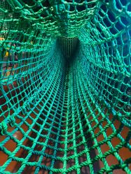 -奇幻丛林(佛罗伦萨小镇店)