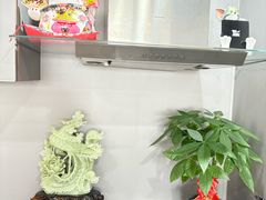 -猫十亿·布偶金渐层·曼基康矮脚猫舍(青年路店)