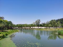 -东郊湿地公园