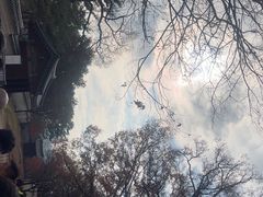 -景福宫