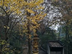 -雨花胜境