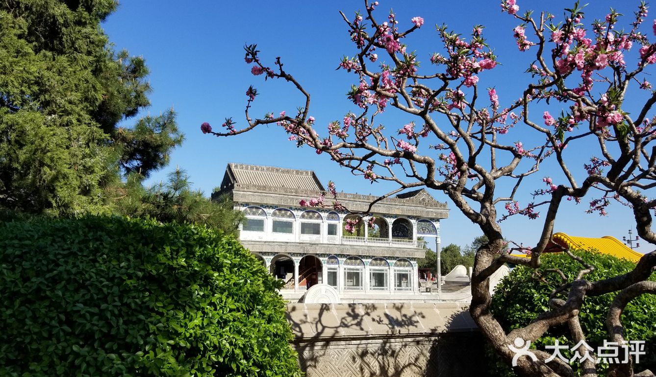 花的海洋+最能感受北京春意的地方之一