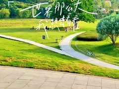 -风云岭森林公园