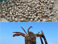 -巧克力渔家.小船海鲜家常菜(万平口店)