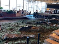 -Seesaw Coffee(朝阳大悦城店)