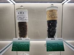 -广东中医药博物馆