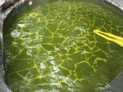 -龙达温泉生态城