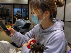 -逗柴咖啡屋·狗咖猫咖宠物桌游