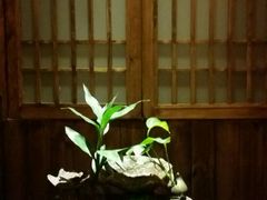 -一叶一世界•素食餐厅(环球中心店)