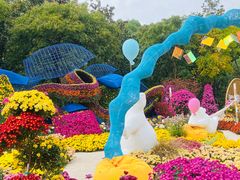 -上海共青森林公园