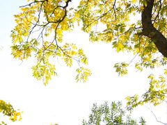 -食膳公园包子铺(烈士公园店)