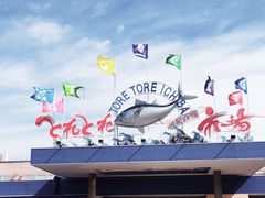 -南纪白浜Toretore市场
