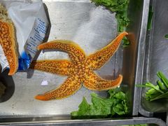 -渔码头食府·20年蓬莱老字号(登州路店)