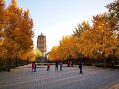 -玲珑塔公园