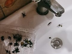 -鹏展商务宾馆(深圳坂田五和店)