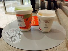 -代数学家algebraist(苏州中心店)