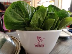 -鸽鸟轩(石岐店)