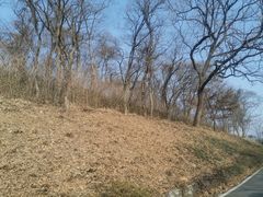-南京老山国家森林公园